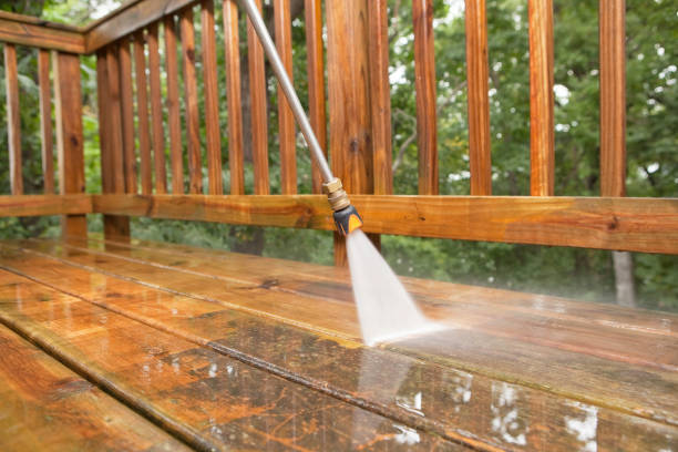 Best Pressure Washing Near Me  in Chase City, VA